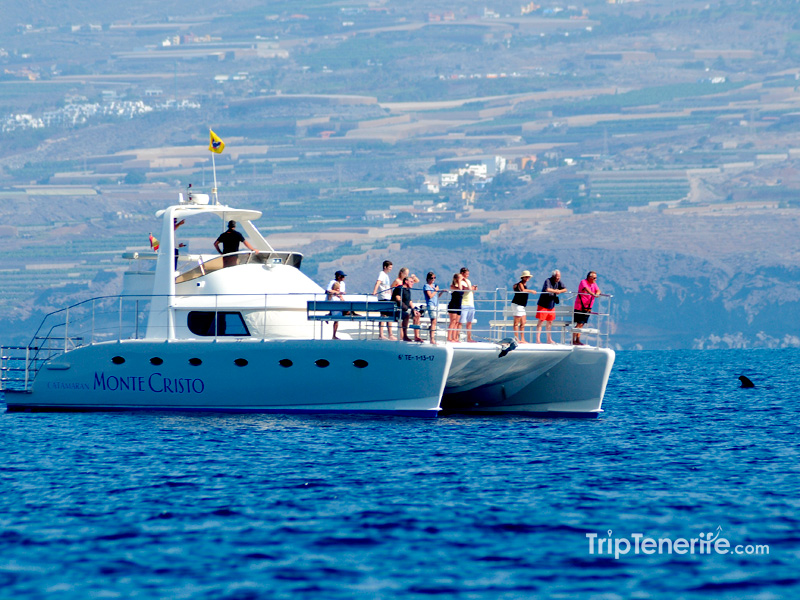 luxury-trip-few-people