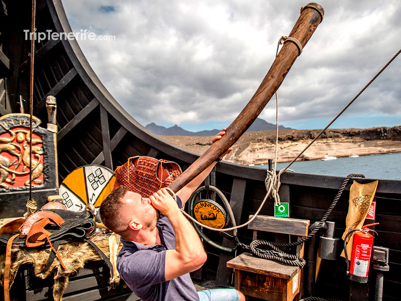 Viking Caleta Beach