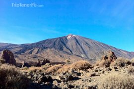 Vue sur le Teide d'Ucanca